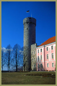 Pikk Hermann (Tall Hermann) stands guard over the Estonian parliament. Photo: Riigikogu